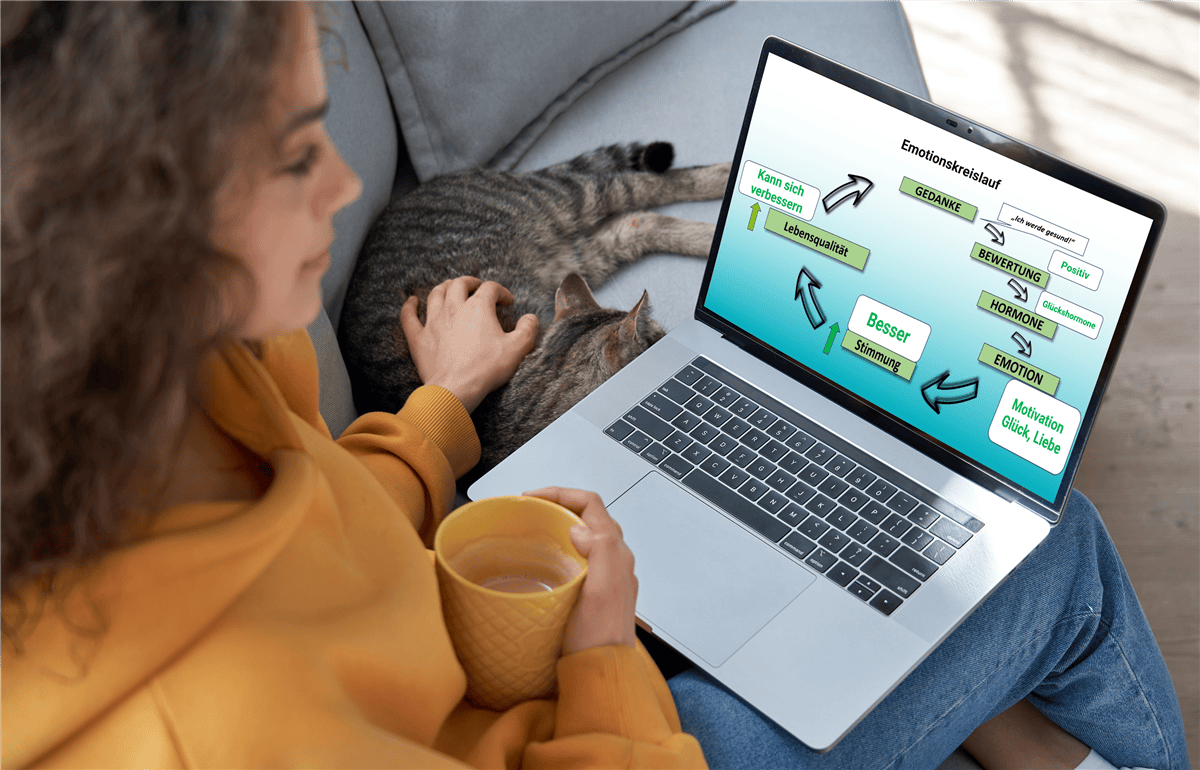 Frau mit Laptop und Katze auf dem Sofa